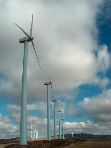 n_parque_eolico_005.jpg